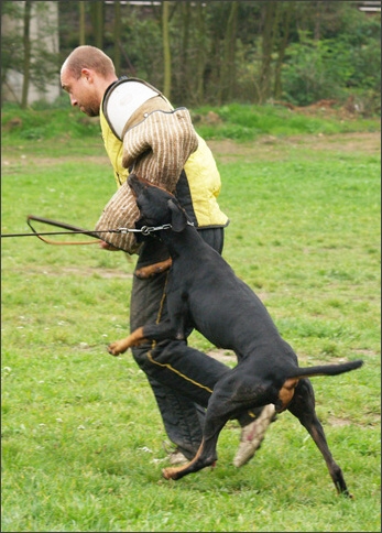 Training in Prague 10/2007